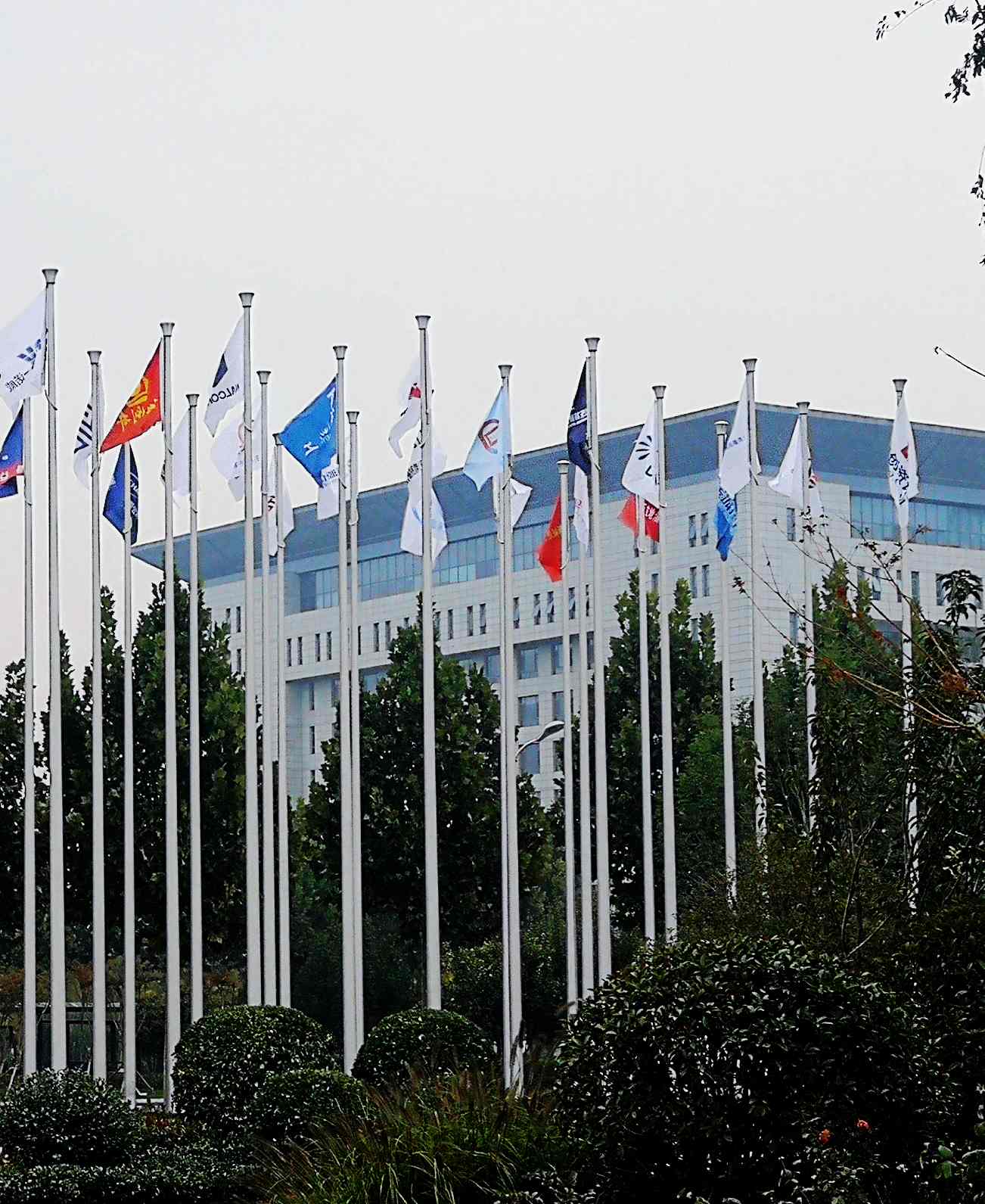 鳳凰涅槃，榮耀淄博